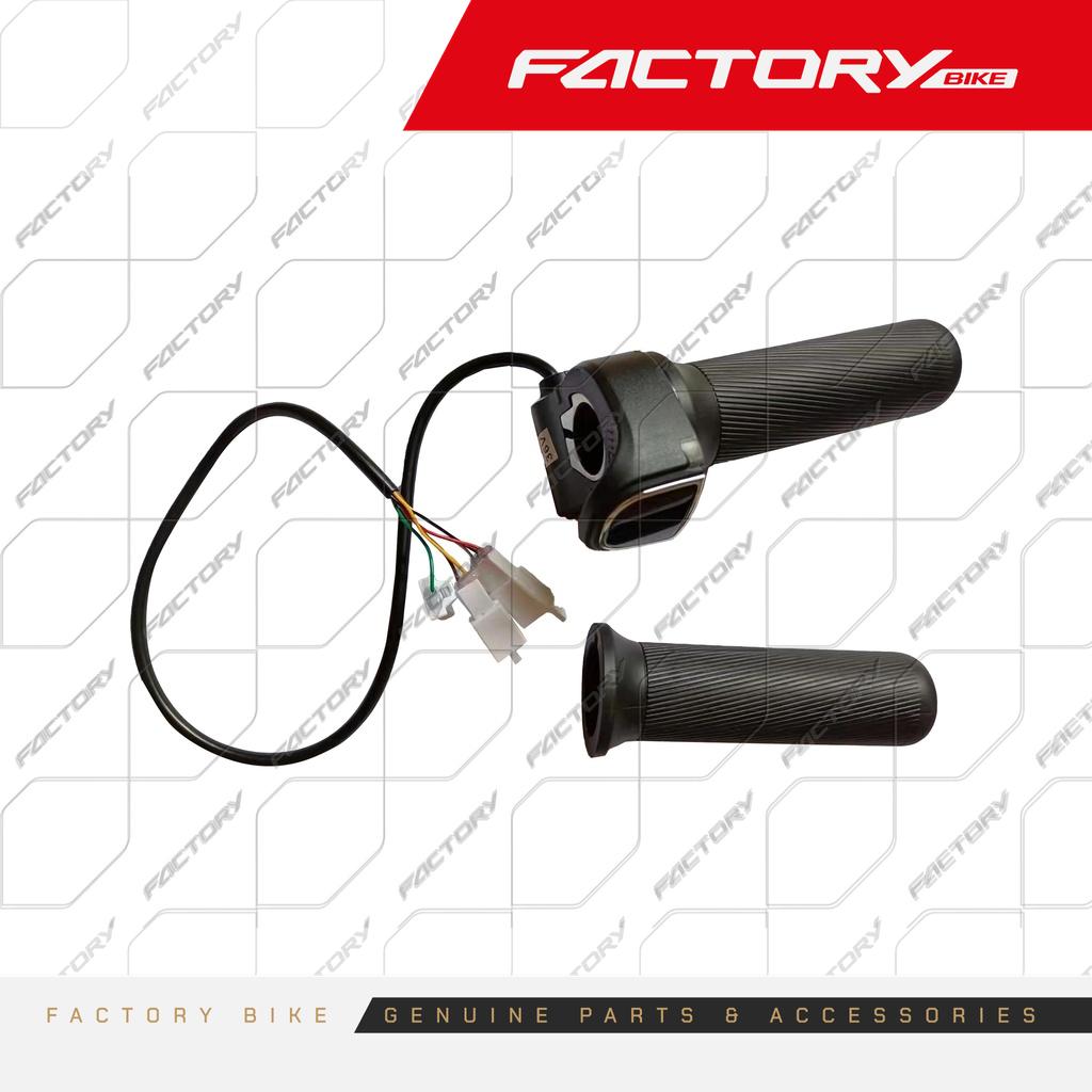GRIPS IZ/DE - CHIVO-E(25)