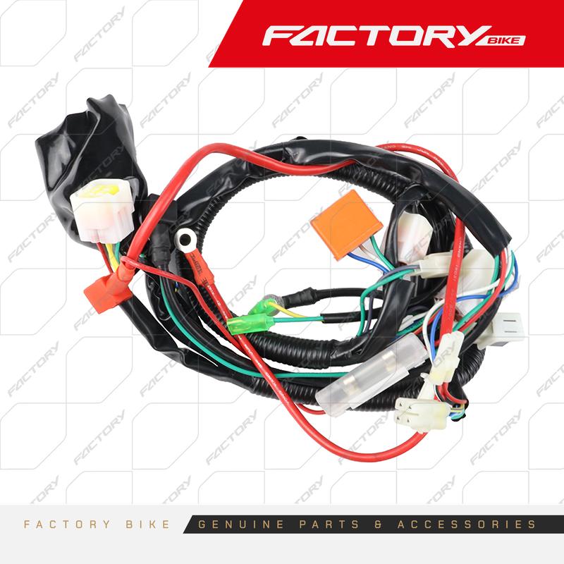ARNES CABLEADO ELECTRICO - FBK250R2