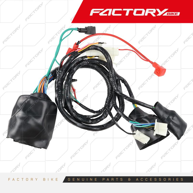 ARNES CABLEADO ELECTRICO - FBK250RS