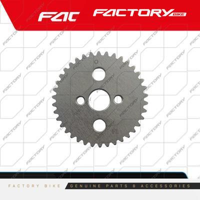PINON ARBOL DE LEVAS 38D - FBK-FX(23) / FBK-R2 / J6