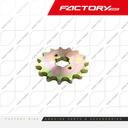 PINON MOTRIZ 530 15D - BIGBEAR200(22)