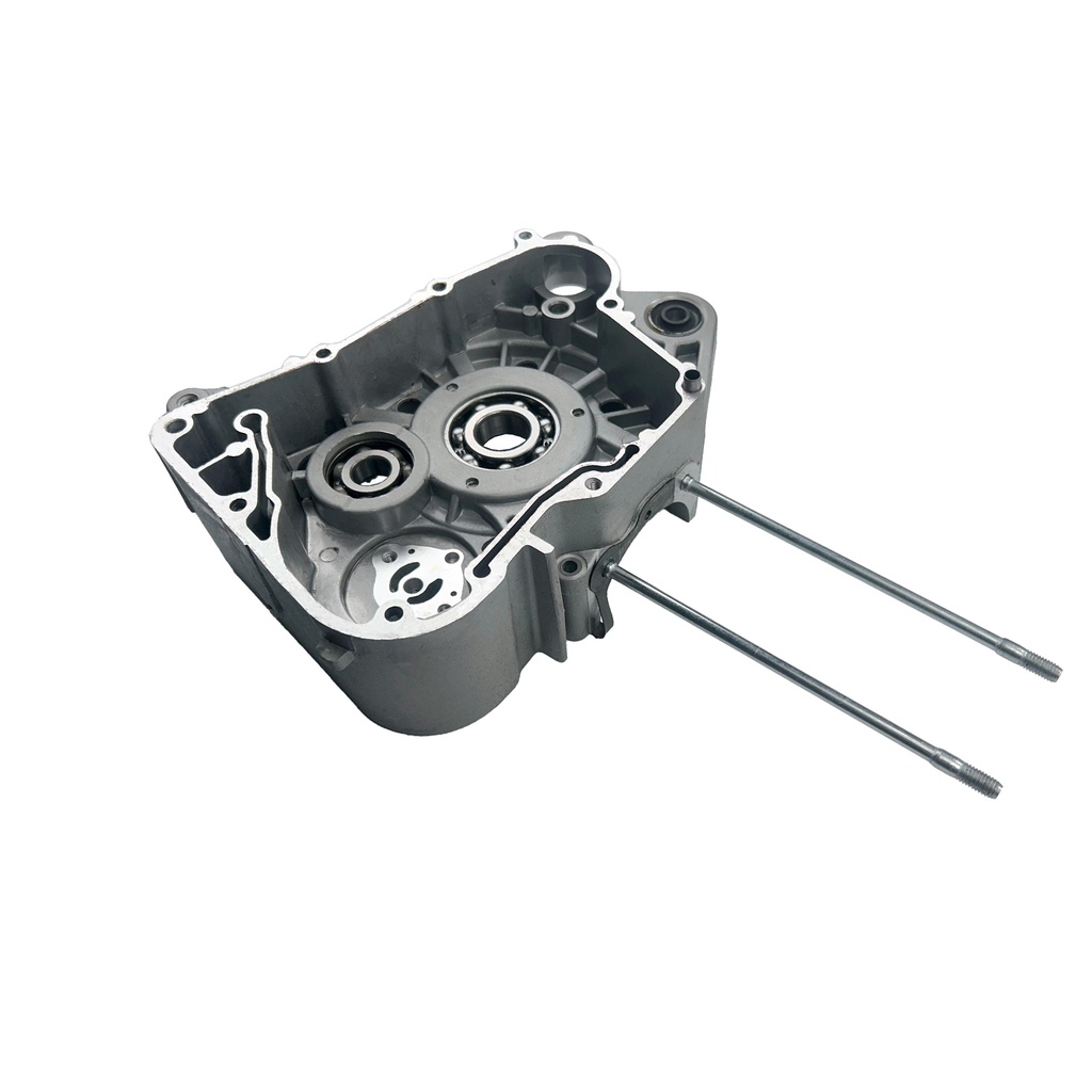 CARTER DER. - COYOTE(24)