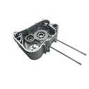 CARTER DER. - COYOTE(24)