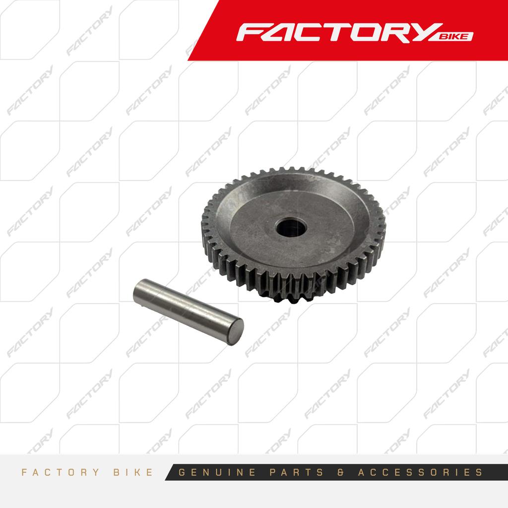 PINON DE ARRANQUE KIT (49-16 / 16-16) - F300 / FZ300 / FR300 / FK300