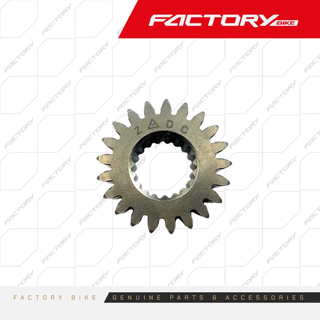 PINON PRIMARIO CIG. 21D - A007-250 / A007-250