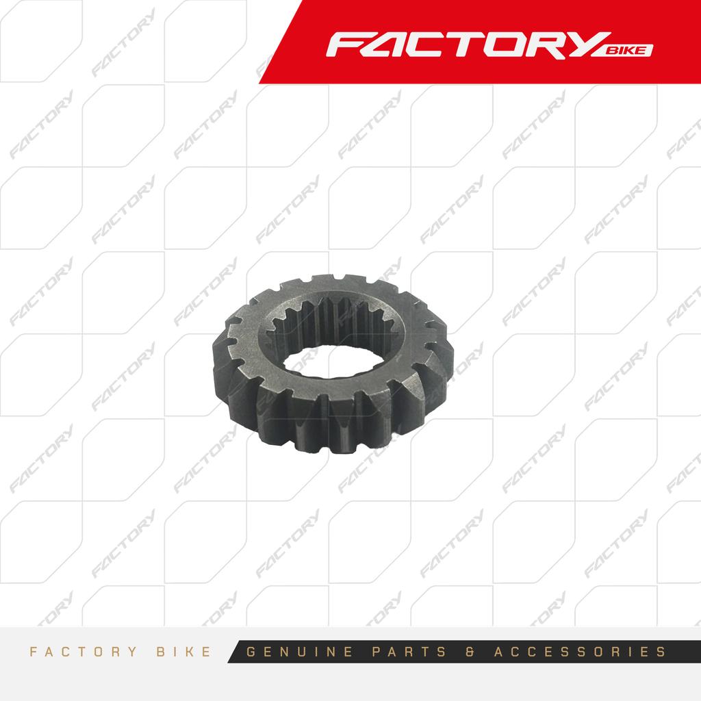 PINONES BOMBA DE ACEITE 18D - J10