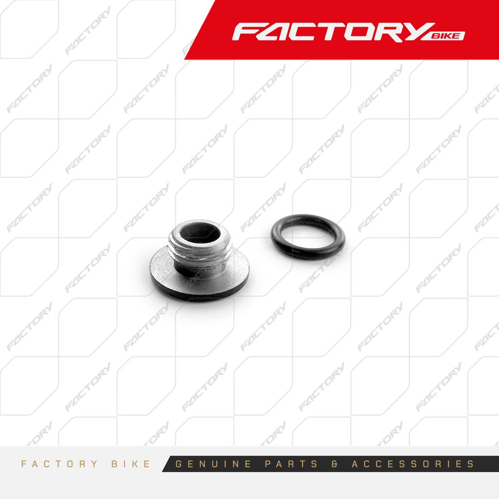 FB131-002 - TAPON CONTROL  DE ACEITE - T4-300