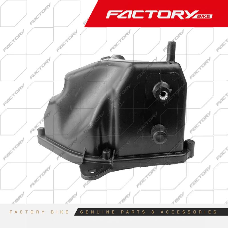 CAJA DEL DEPURADOR (BASE DE ESPONJA) - FBK250RS