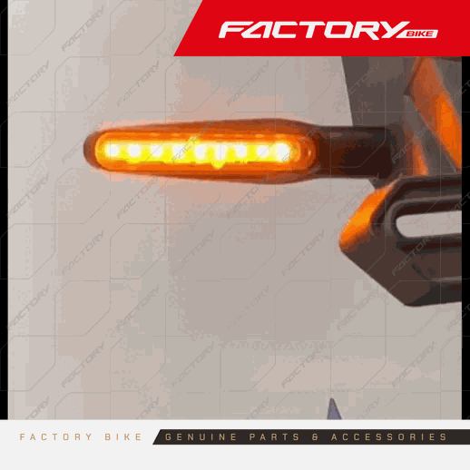 DIRECCIONALES DEL/POS LED IZ/DE - J6 / J3 / AKS / J10 / TS-250 / JASON / JOKER / S25 / AK47X(23)