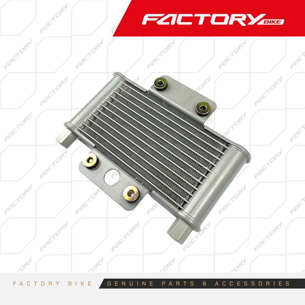 RADIADOR - COBRAKAI(24)