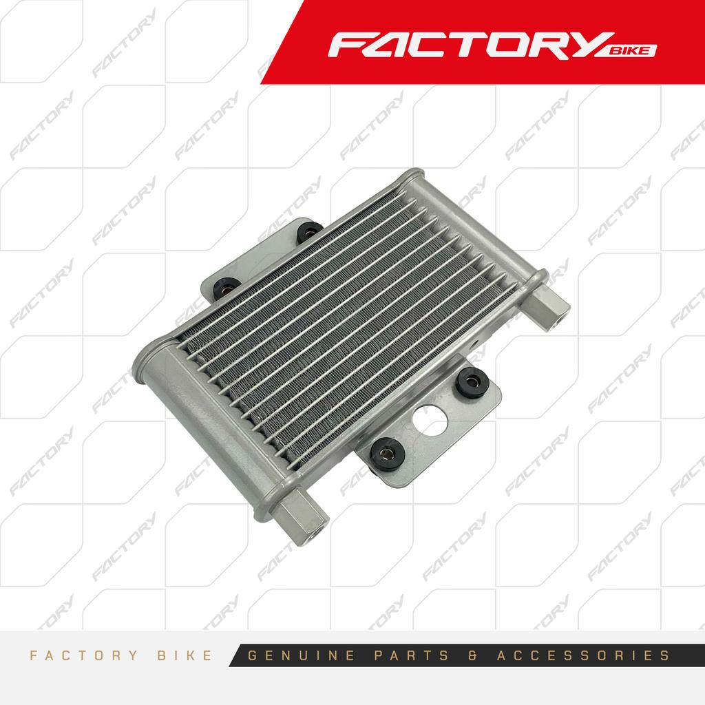 RADIADOR - COBRAKAI(24)