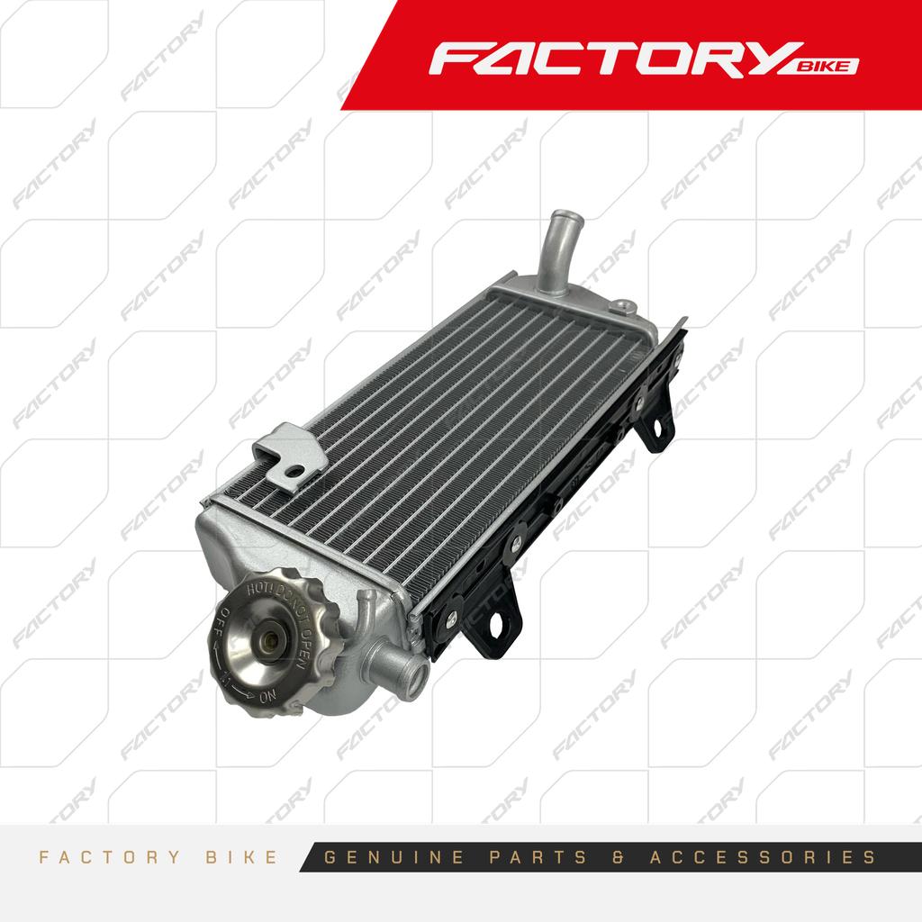 RADIADOR DE - X6(24)