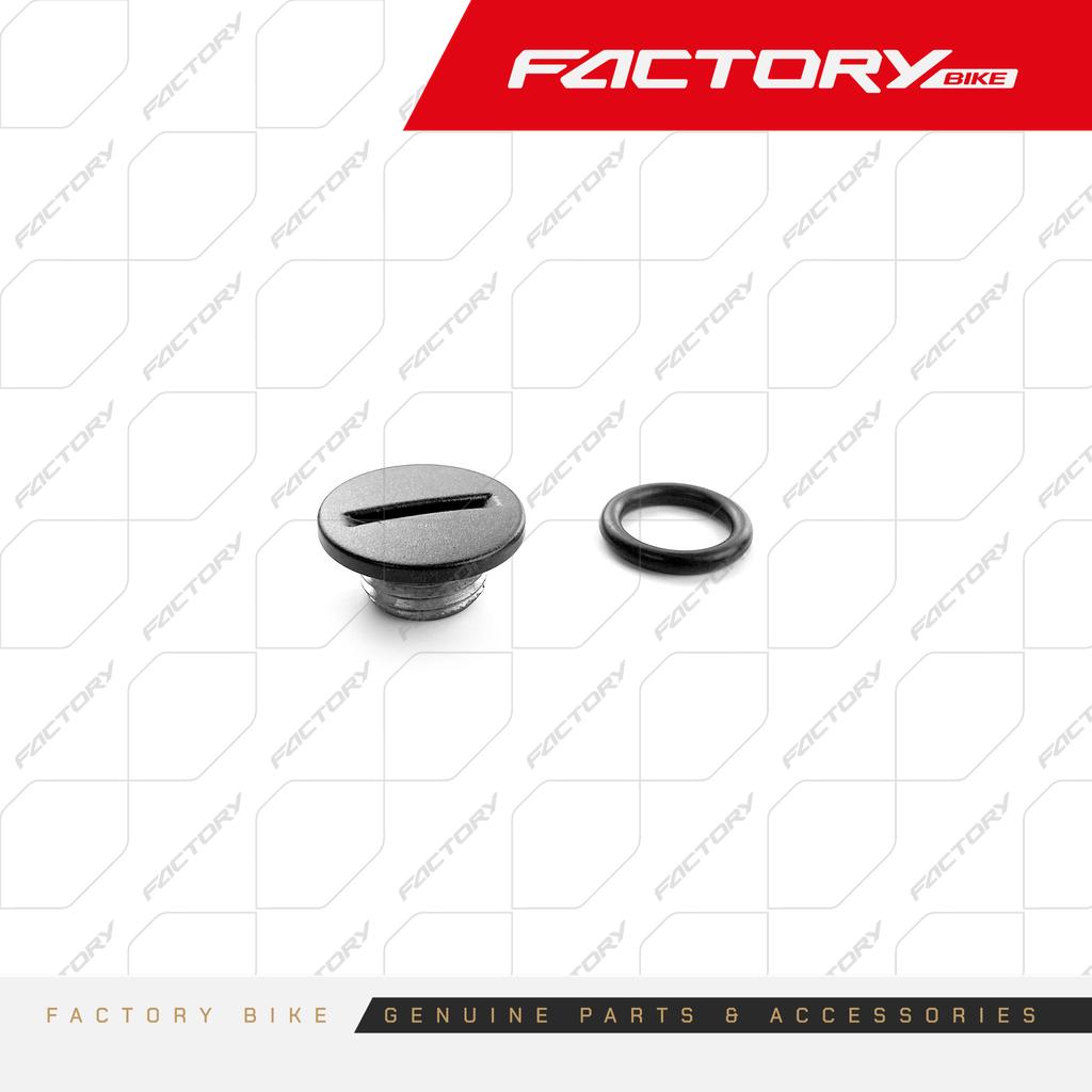 TAPON CONTROL DE ACEITE - T4-300