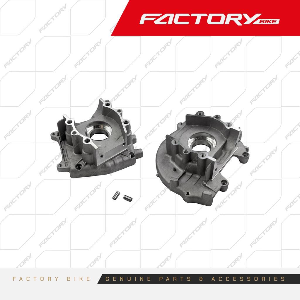 CARTER IZ/DE - CHIVO(25)