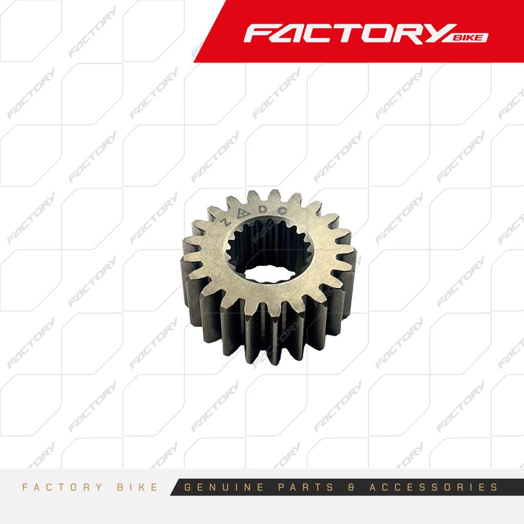 PINON PRIMARIO CIG. 21D - A007-250 / A007-250