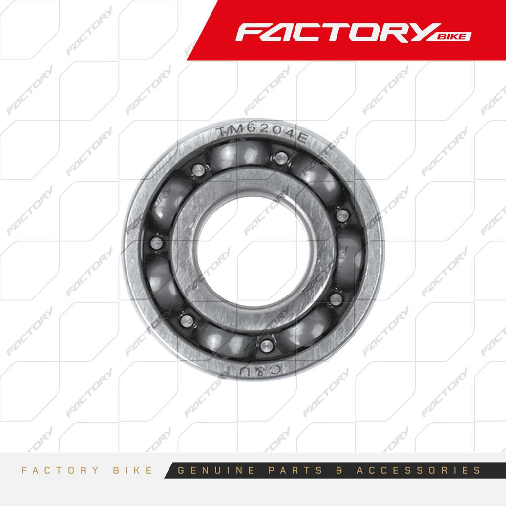 RODAMIENTO TM6204E - X6(24)