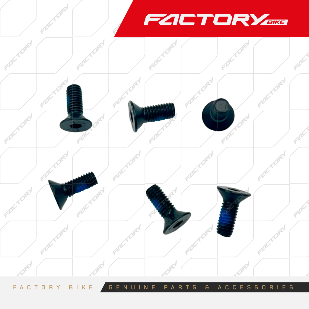 PERNOS DISCO DE FRENO M6X16 6PCS SET - RAMPAGE250(26)
