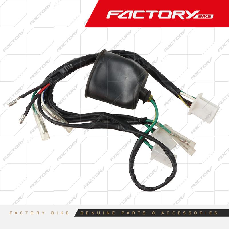 ARNES CABLEADO ELECTRICO - FX150(19)