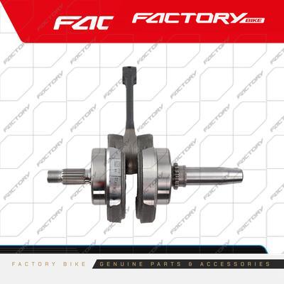 CIGUENAL ARM - J3 / TS-250