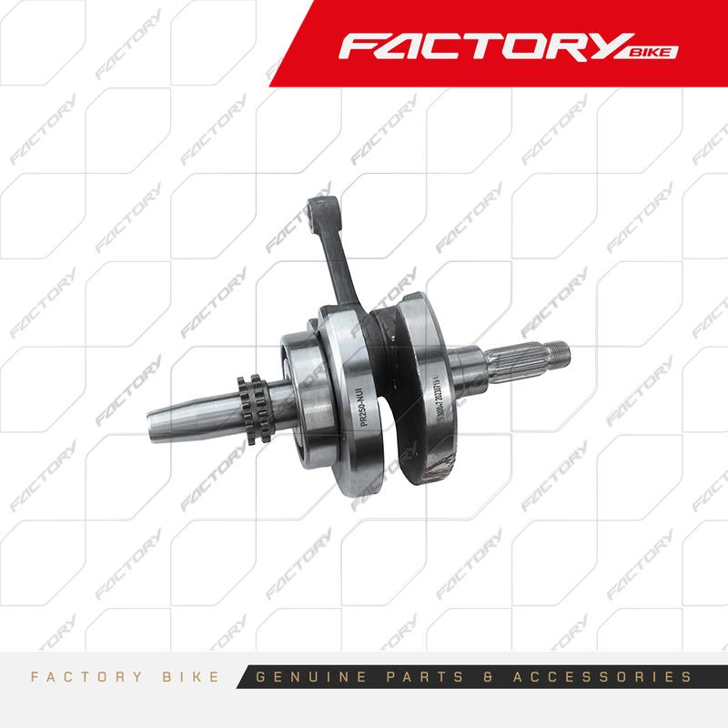 CIGUENAL ARM P16 - J6 / T4-300(24)