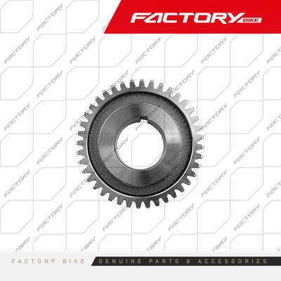 PINON CONTRAPESA 40D - T4-300(23) / T4-300(24)