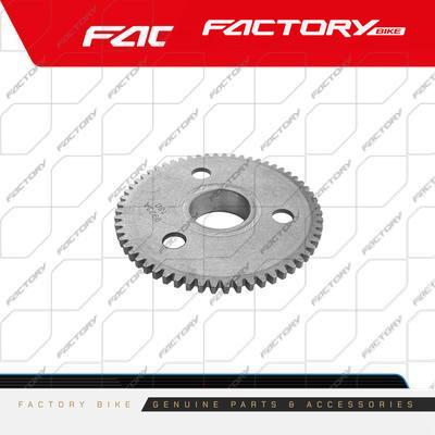 PINON DE BENDIX - BIGBEAR200(22)