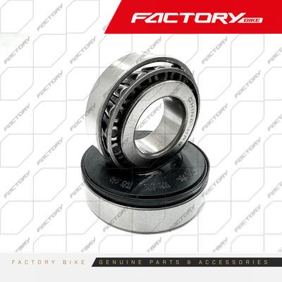 PISTAS DE DIRECCION KIT (30205/30206GP) 2PCS - SHIFT(24)