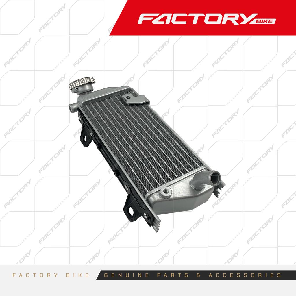 RADIADOR DE - X6(24)