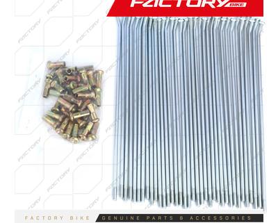 RAYOS DEL. A21 36PCS D4mm KIT - M4 / J10 / J3