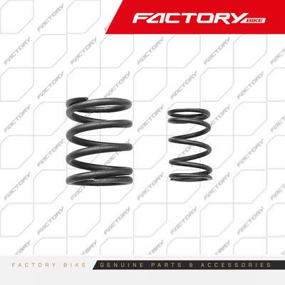 [FB187-004] RESORTE EX/IN DE VALVULAS (2PCS) - AKS