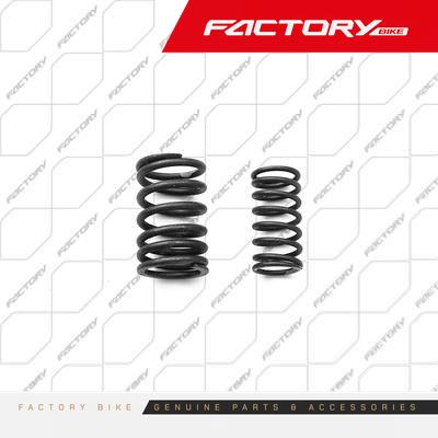 [FB187-003] RESORTE EX/IN DE VALVULAS 2PCS - PREDATOR110(19)