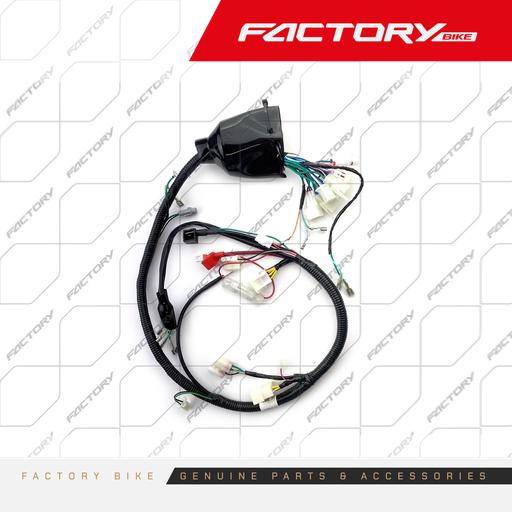 [FB003-042] ARNES CABLEADO ELECTRICO - X6(24)