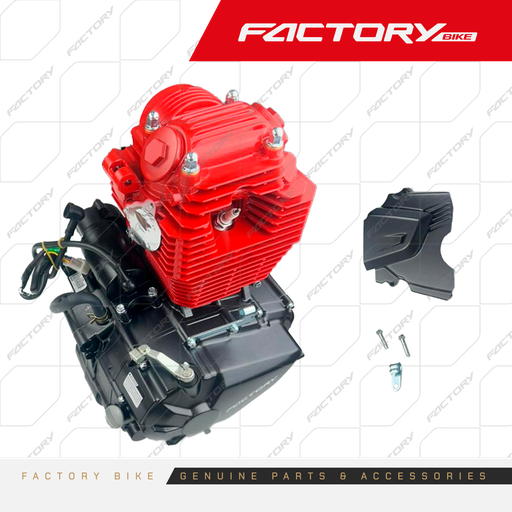 [FB090-004] MOTOR ARMADO - T4-300