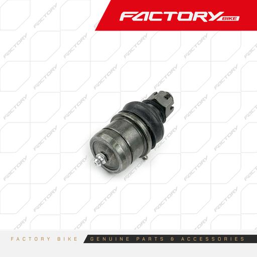 [FB692-001] ROTULA SUP - COBRAKAI(24)