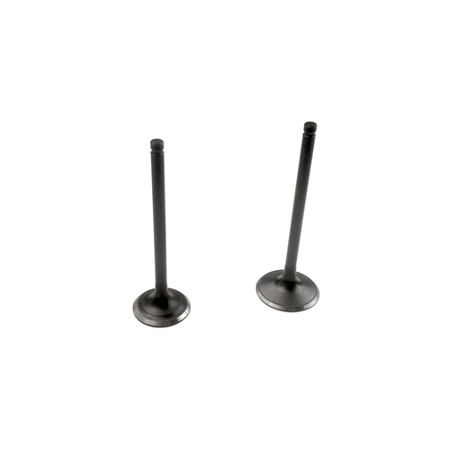 [FB139-015] VALVULA DE ADMISION Y ESCAPE 2PCS - FBK-FX BLACK