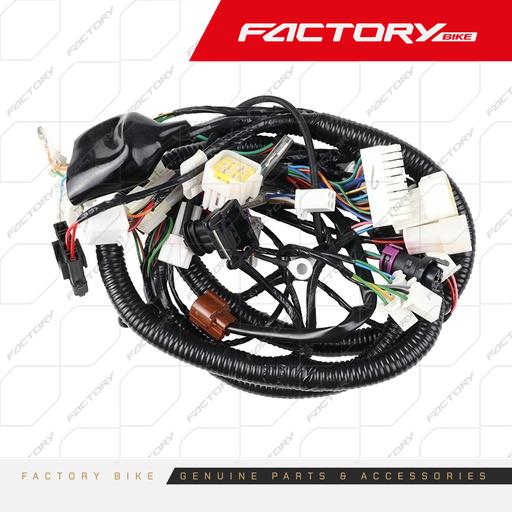 [FB003-017] ARNES CABLEADO ELECTRICO - F300 / FR300