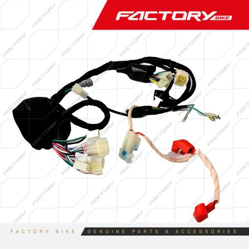 [FB003-018] ARNES CABLEADO ELECTRICO - FBK-FX BLACK (23)