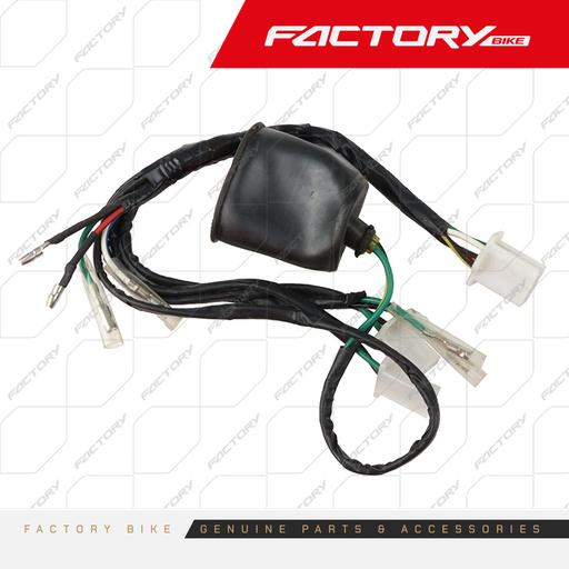 [FB003-039] ARNES CABLEADO ELECTRICO - FX150(19)