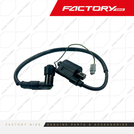 [FB018-001] BOBINA DE BUJIA - FX250AK47 / FX250E-T4 / JOKER / S25