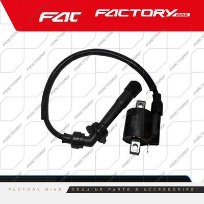 [FB018-034] BOBINA DE BUJIA - X6(24)