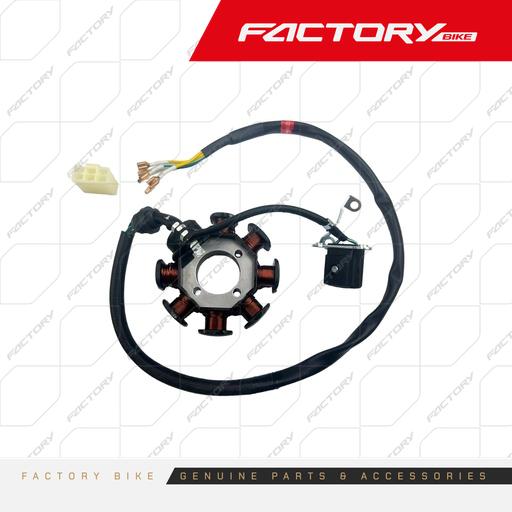 [FB019-008] BOBINA DE MAGNETO 8M 3H 5C L620MM - J10 / JASON / J6 / FBK-FX(23) / FBK-R2