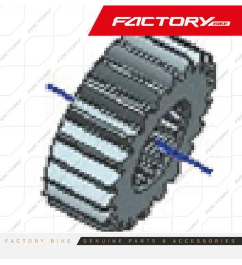 [FB226-003] PINON PRIMARIO DE CIGUENAL 22D - T4-300